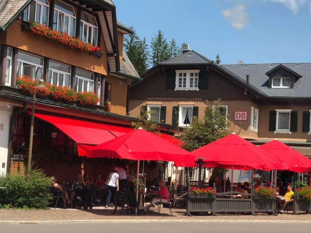 Hotel Schwarzwaldhof Гінтерцартен Екстер'єр фото