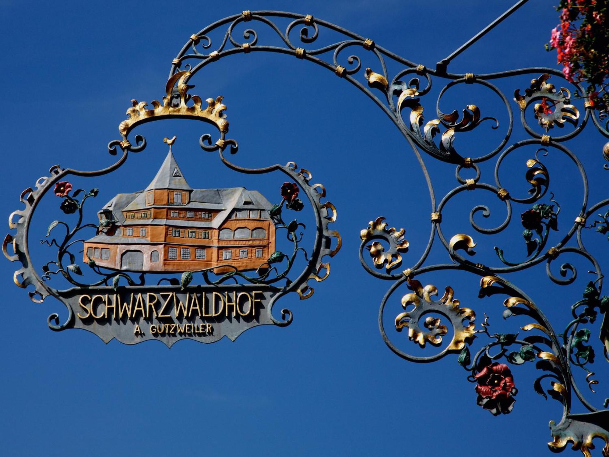 Hotel Schwarzwaldhof Гінтерцартен Екстер'єр фото