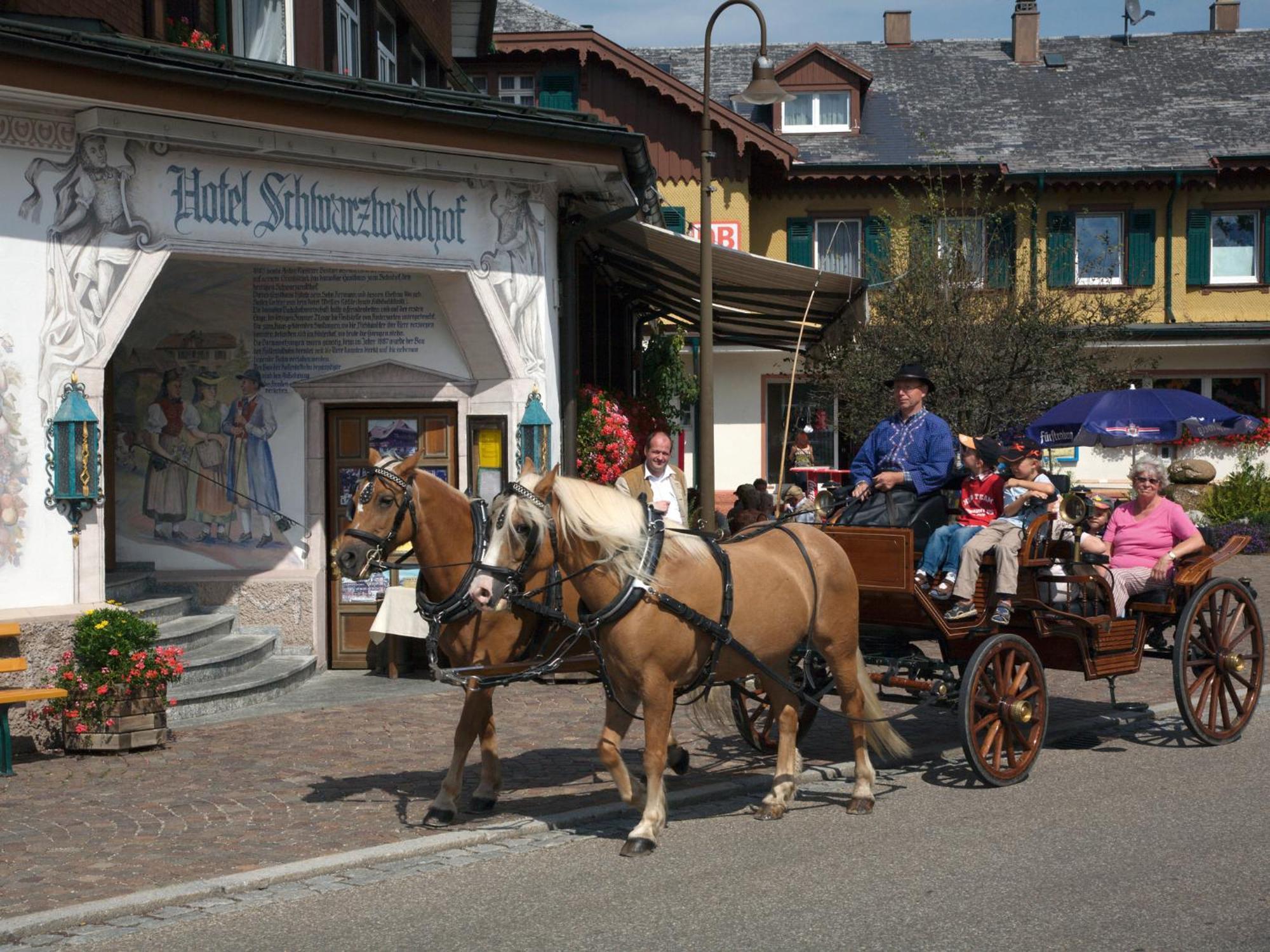 Hotel Schwarzwaldhof Гінтерцартен Екстер'єр фото